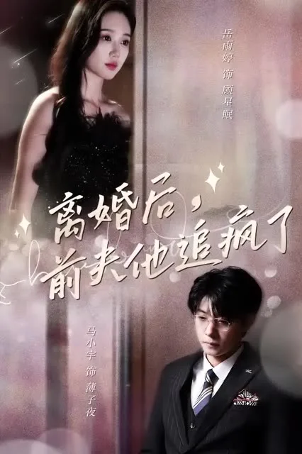 离婚后,前夫他追疯了今夜星光璀璨