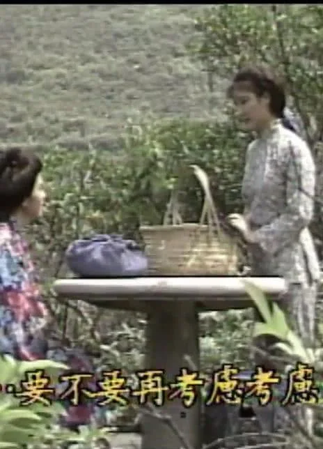 向太阳挑战